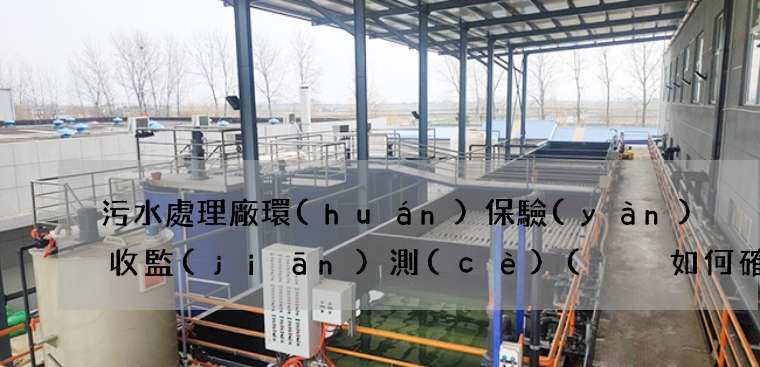 污水處理廠環(huán)保驗(yàn)收監(jiān)測(cè)(  如何確保公平公正)